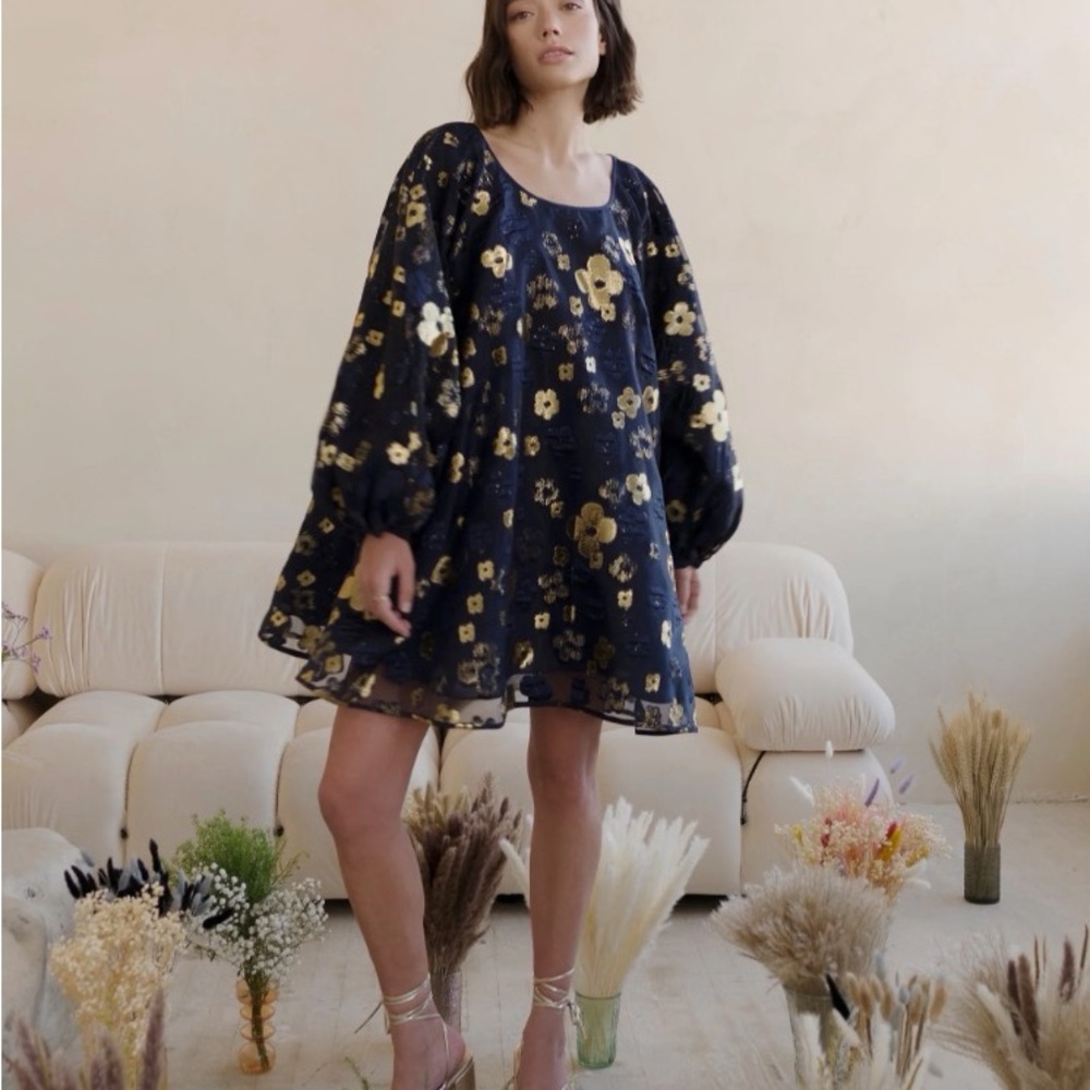 Arianne Elmy Blue Organza Dress